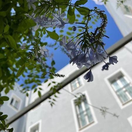 Hotel San Miguel Menorca Mahón Buitenkant foto