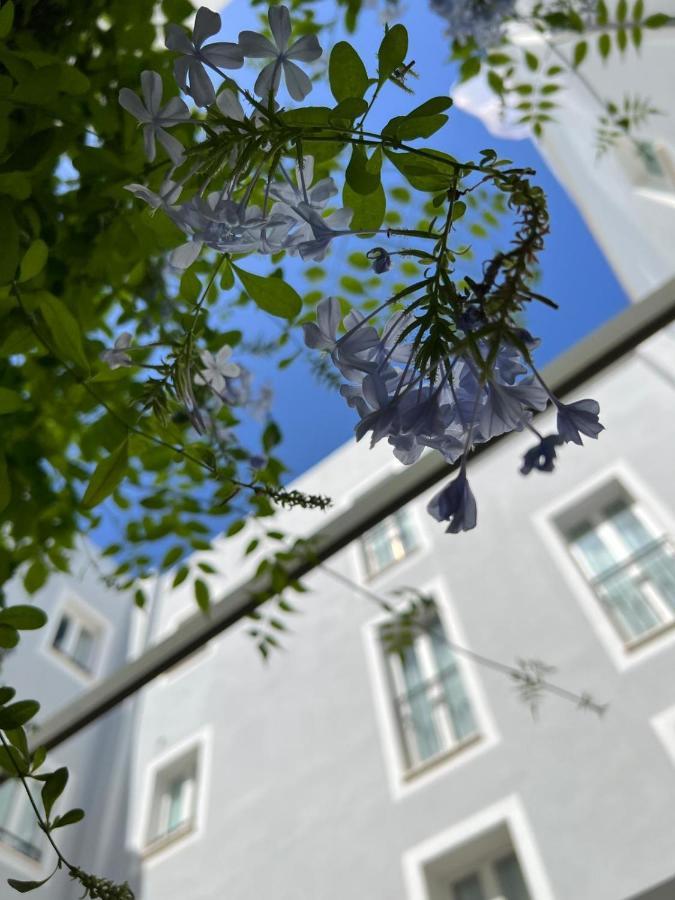 Hotel San Miguel Menorca Mahón Buitenkant foto